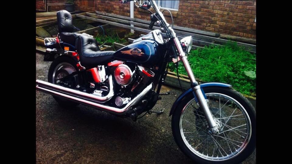 1998 Harley-davidson Fxstc Softail Custom