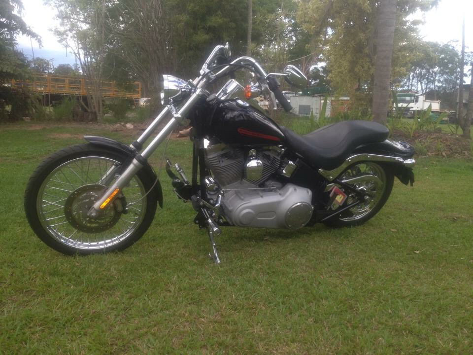 2008 Harley-davidson Fxsti Softail Standard
