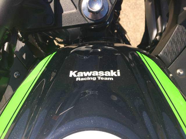 2016 Kawasaki Ninja 300 ABS (EX300B) Road