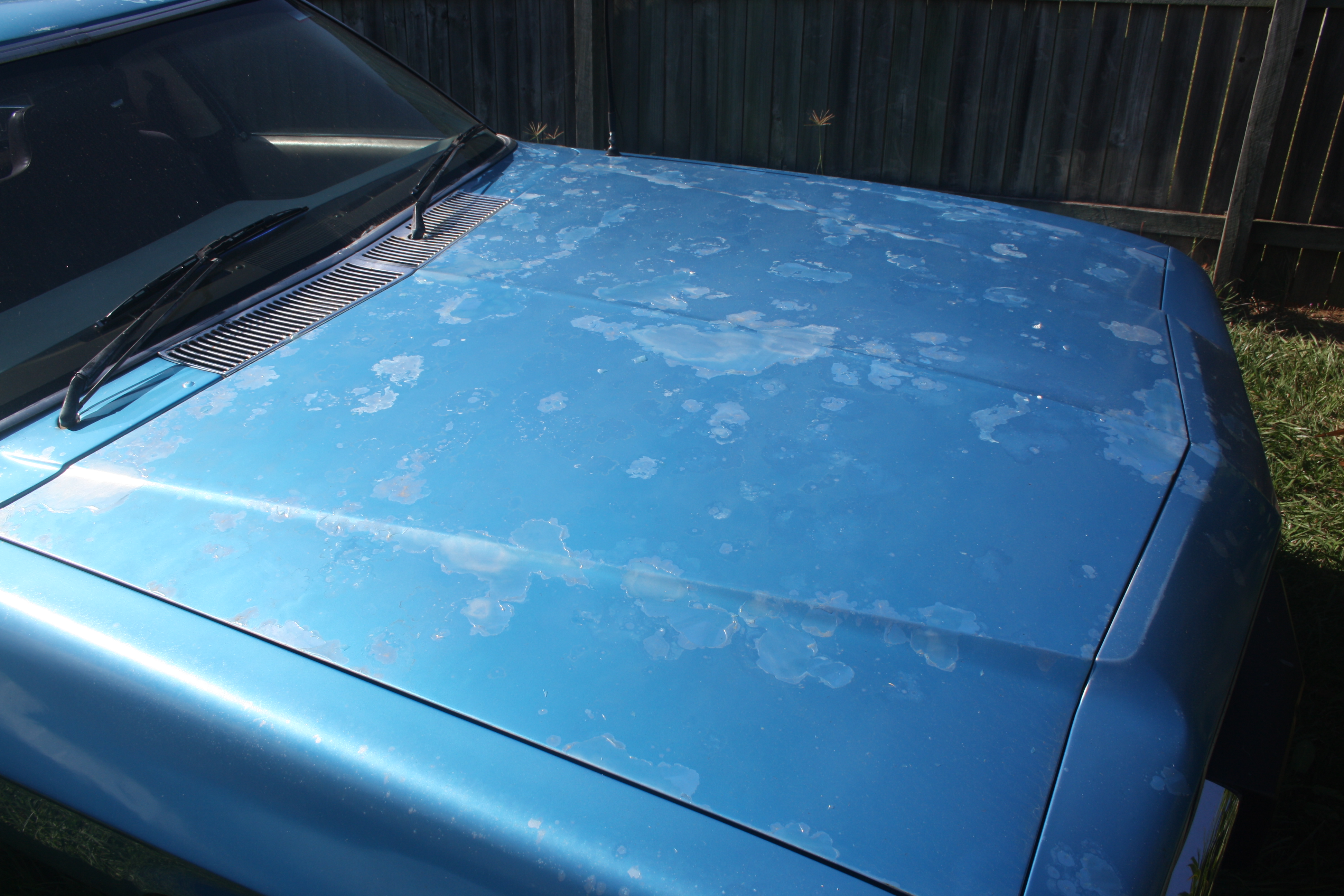 Bmw carpet blue brisbane