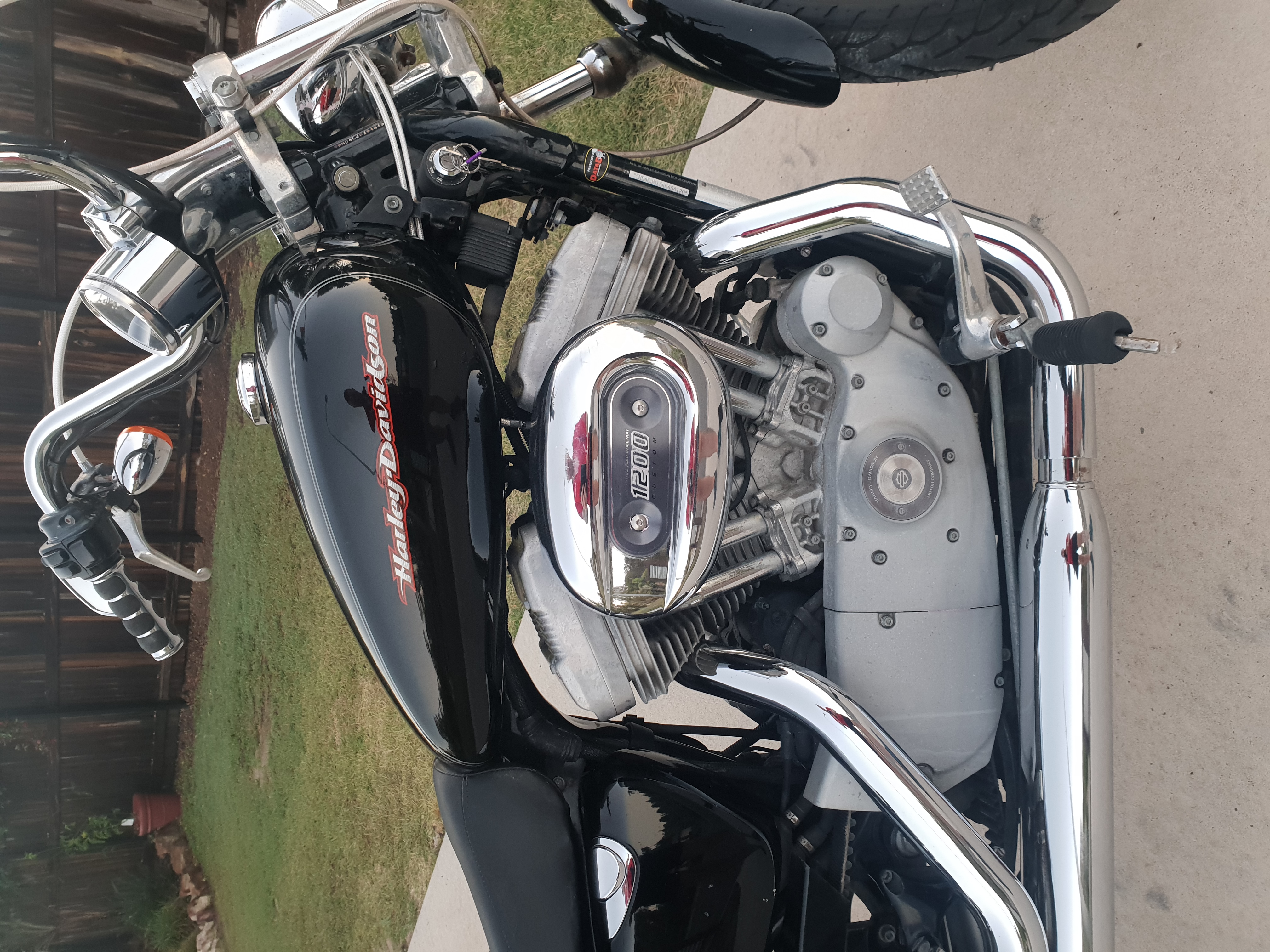 2004 Harley-davidson Sportster Custom