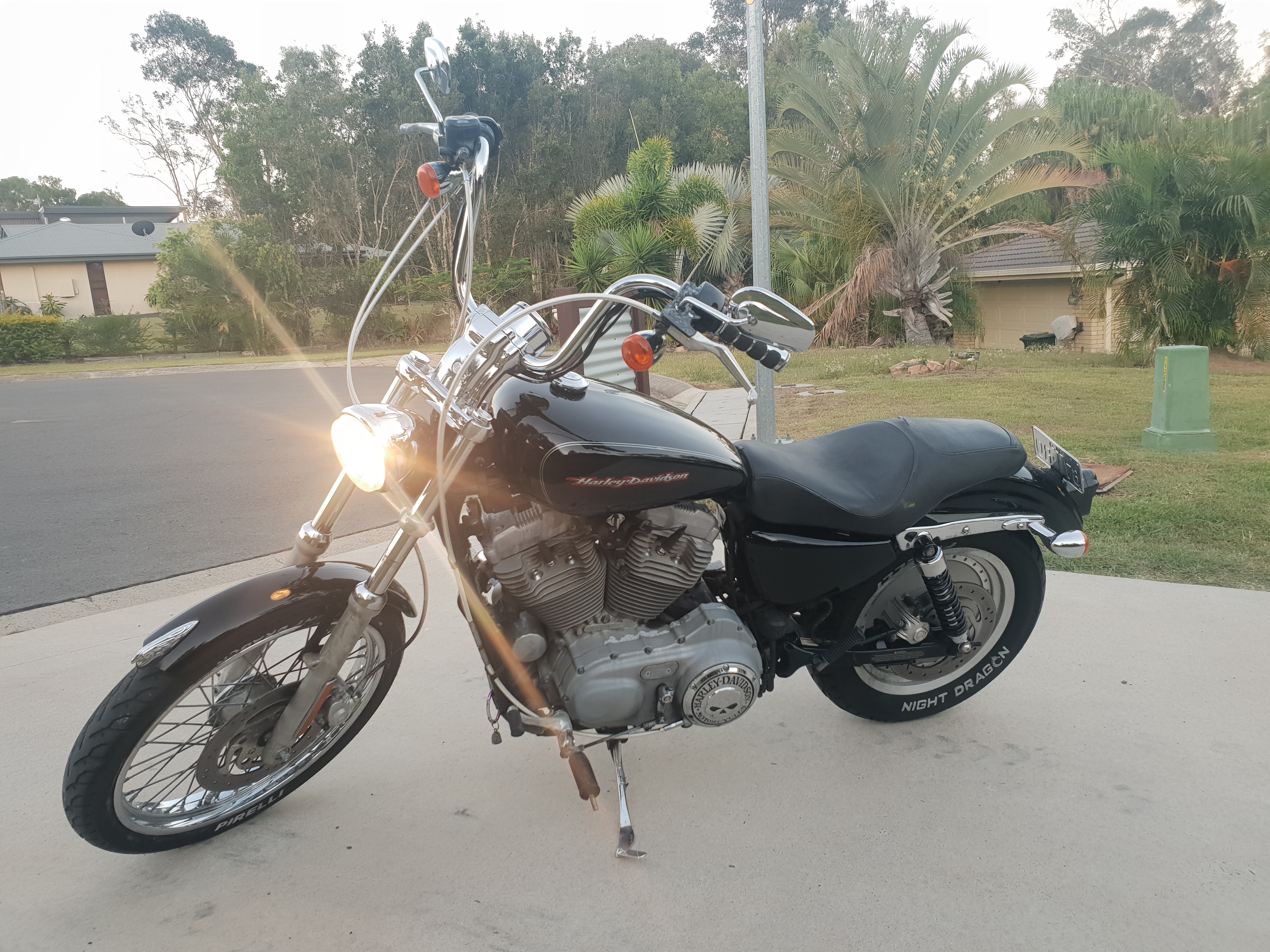 2004 Harley-davidson Sportster Custom