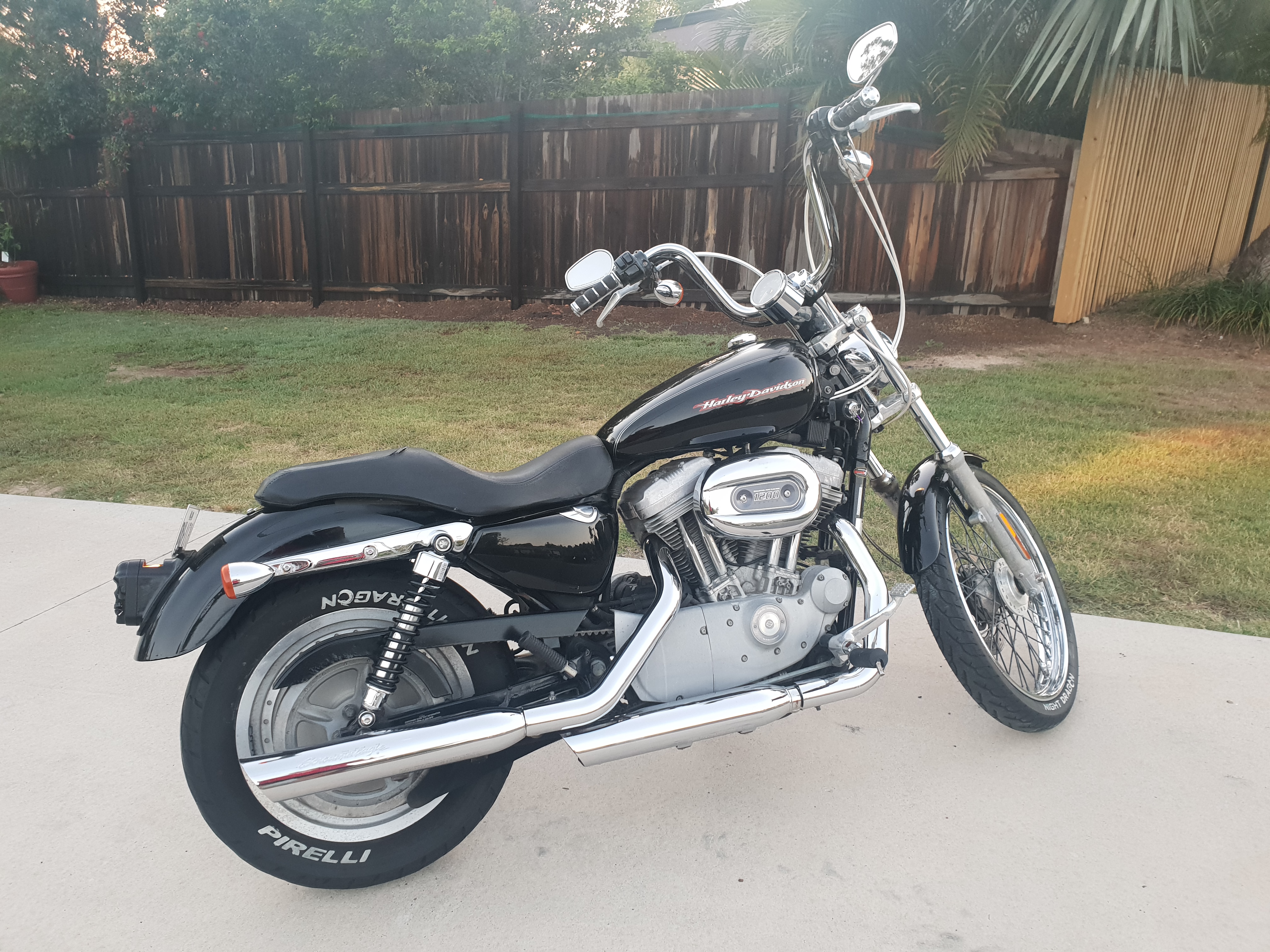 2004 Harley-davidson Sportster Custom