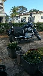 2004 Harley-davidson Sportster Custom