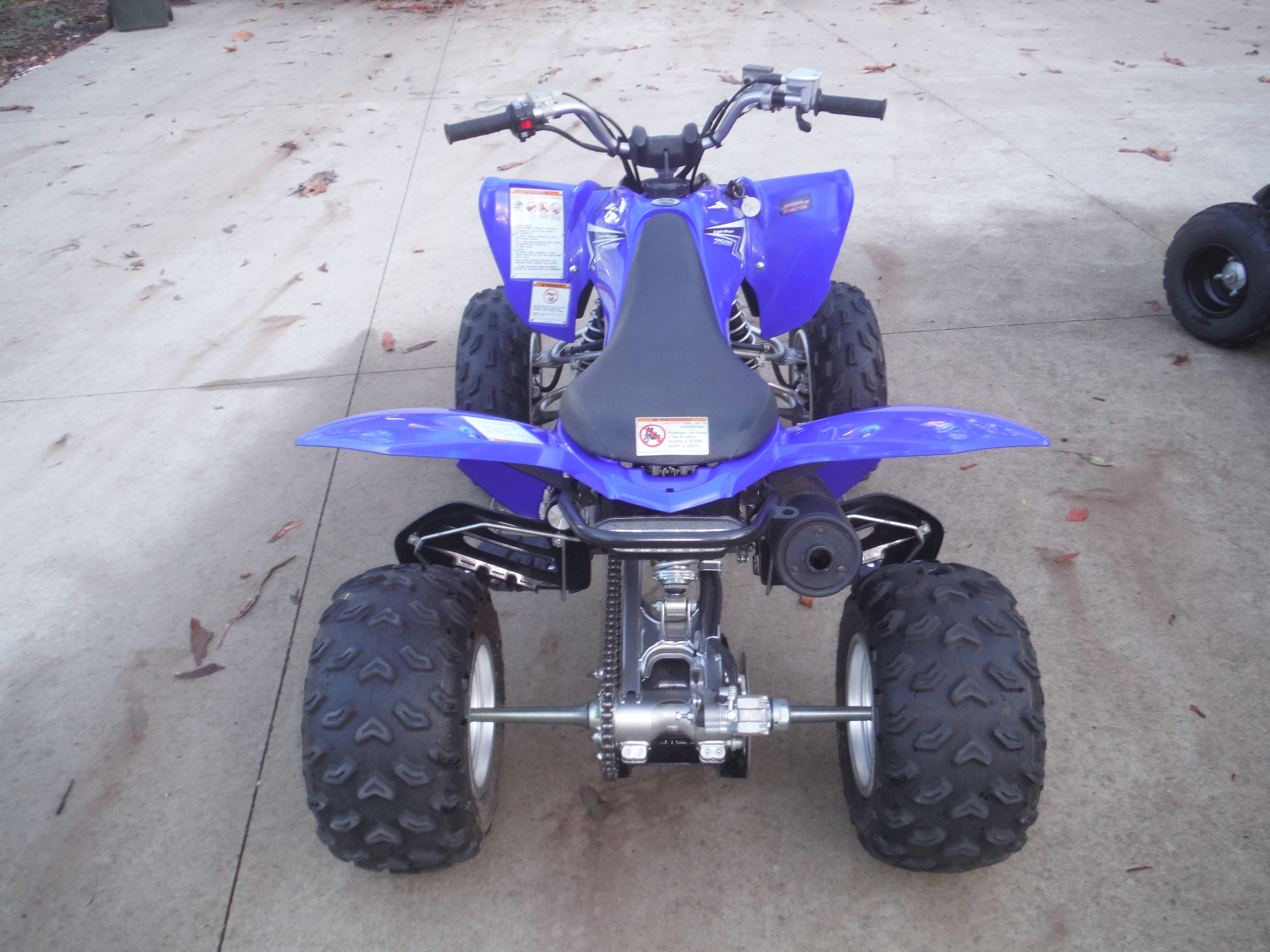 Yamaha Raptor 250