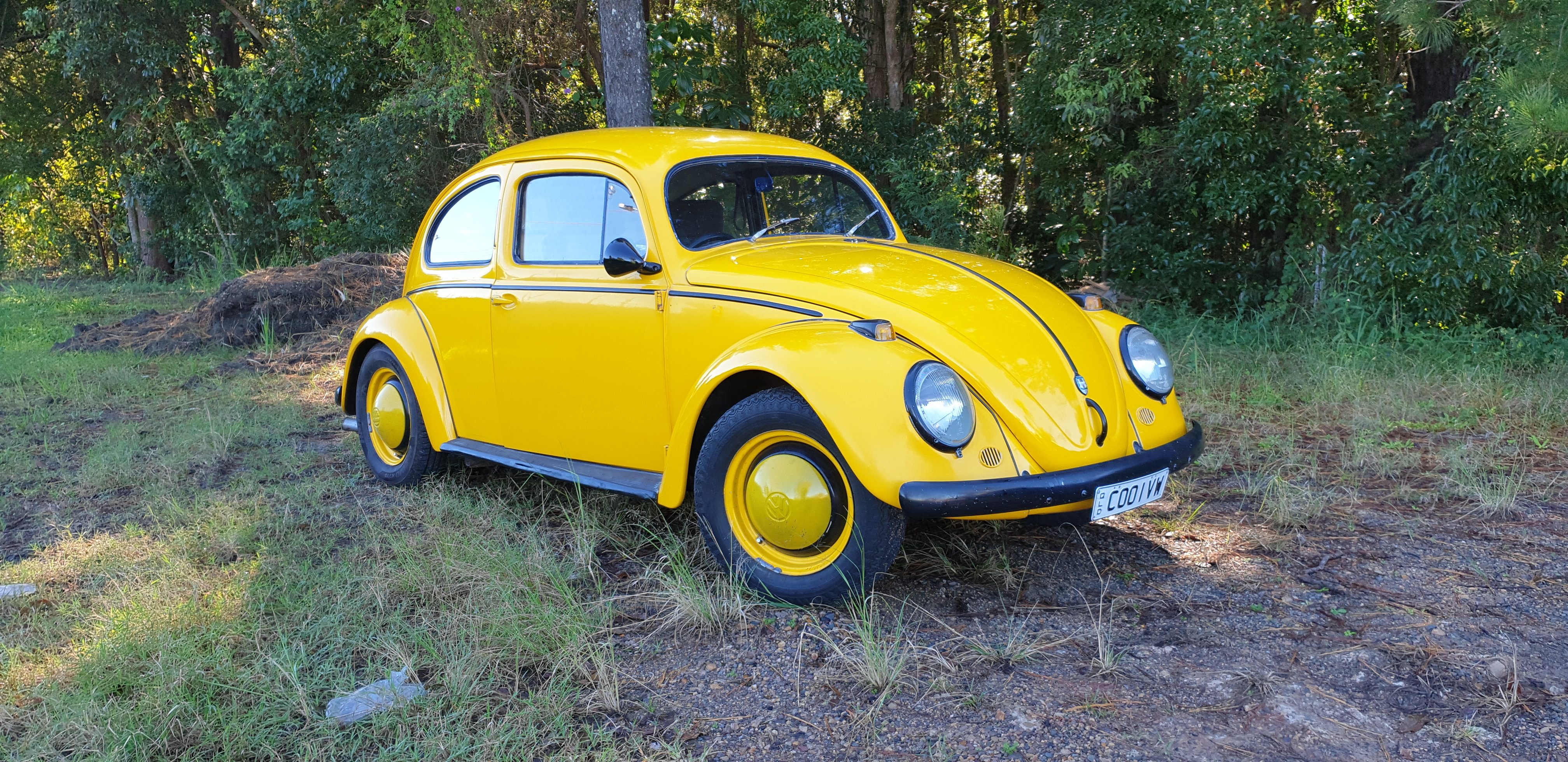 1954 Volkswagen Beetle
