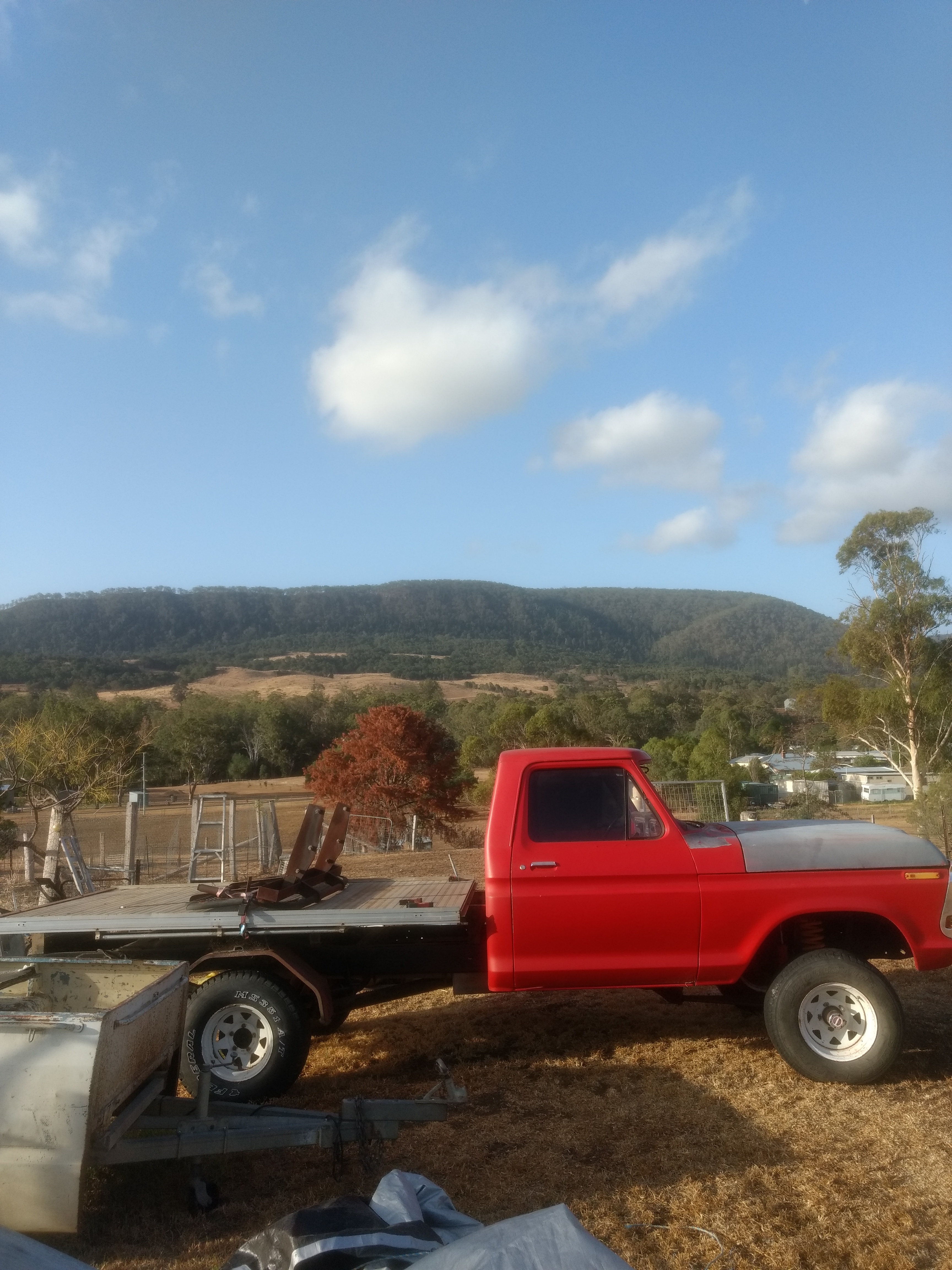 1979 Ford F100