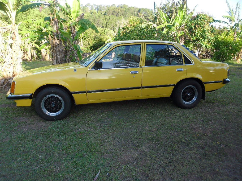 1981 Holden Commodore