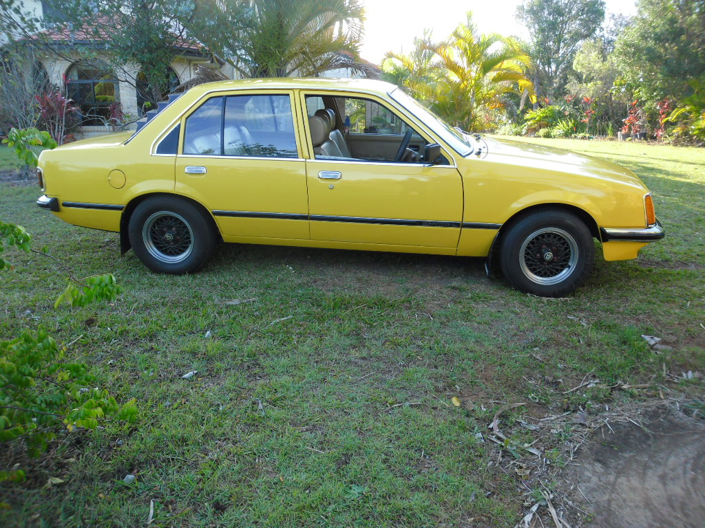 1981 Holden Commodore