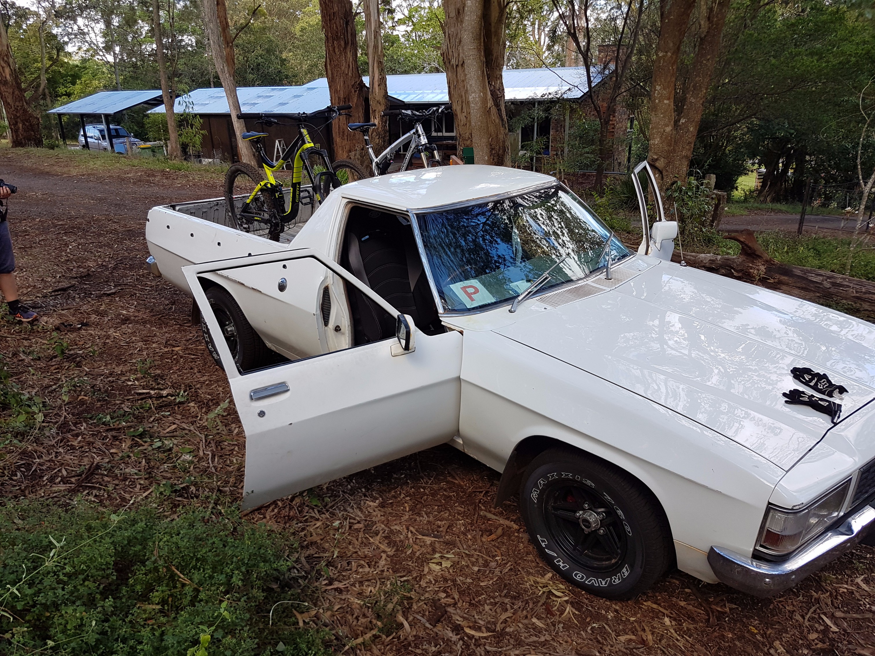 1983 Holden WB