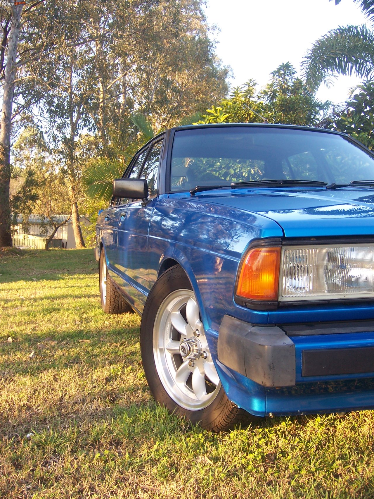 1983 Datsun Bluebird 910 Trx