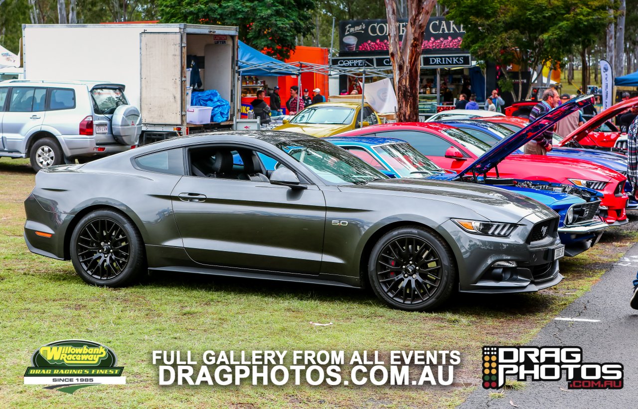 All Ford Day 17th July 2016 | Dragphotos.com.au