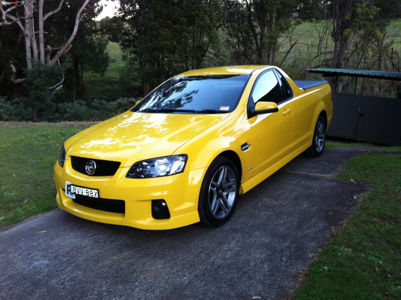 Holden 6