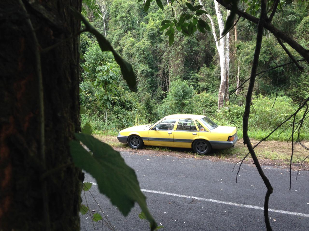 1985 Holden Commodore