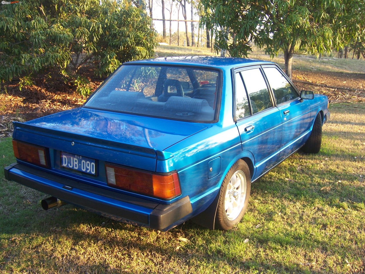 1983 Datsun Bluebird 910 Trx