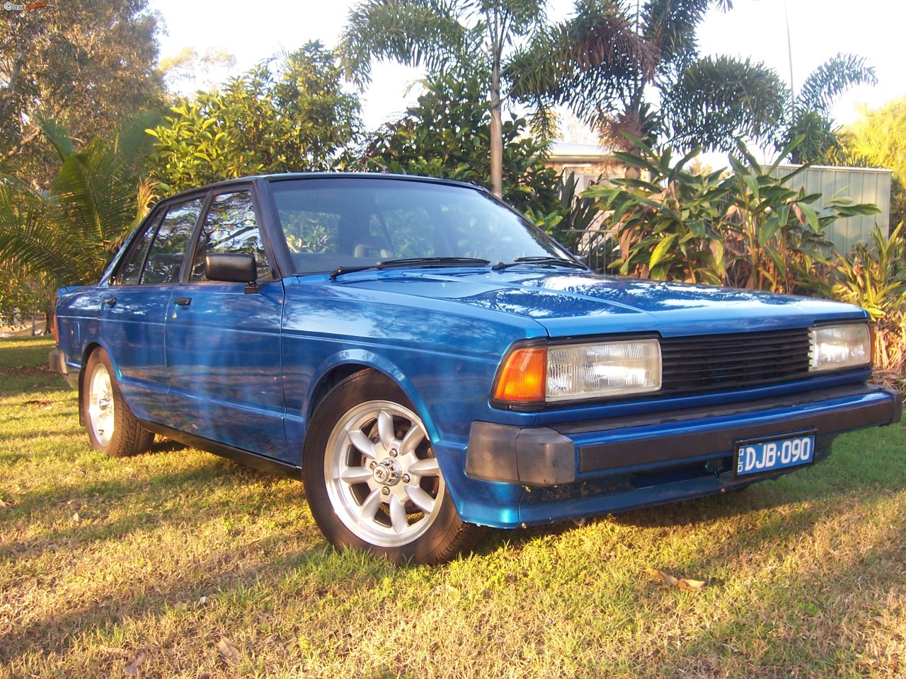 1983 Datsun Bluebird 910 Trx