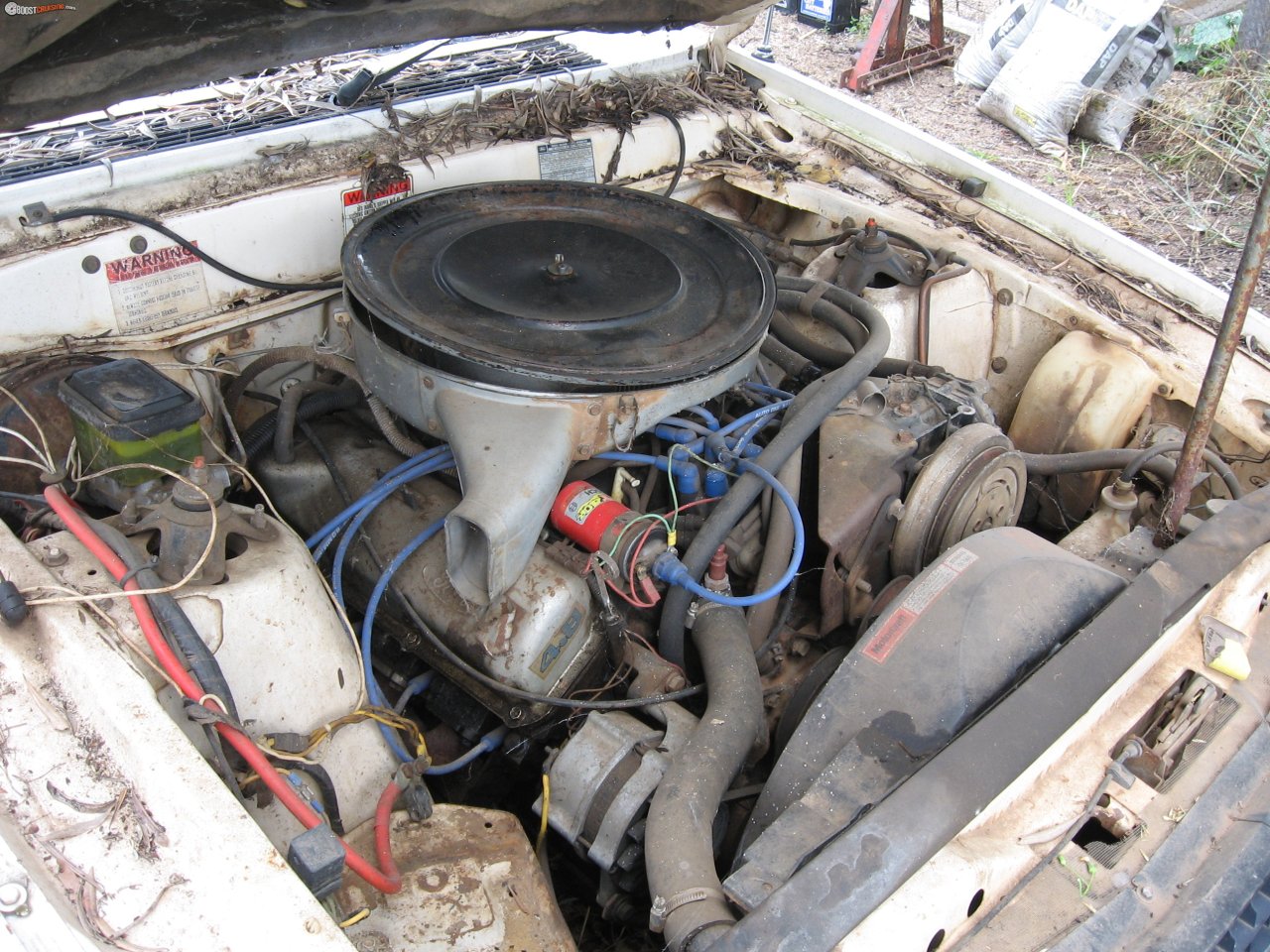 1982 Ford Fairlane Zj