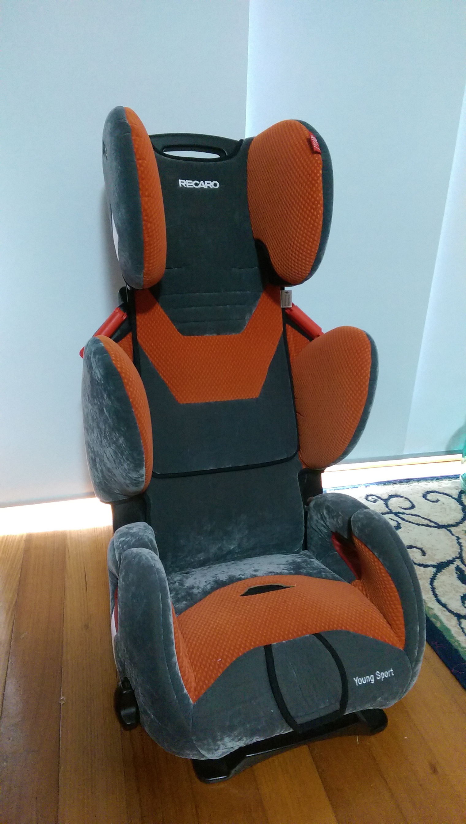 young sport recaro